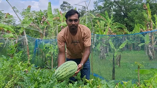 অসময়ের তরমুজ চাষে সফল বিদেশফেরত লোকমান